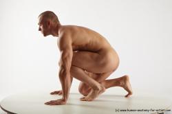 Nude Man White Kneeling poses - ALL Muscular Short Brown Kneeling poses - on one knee Realistic
